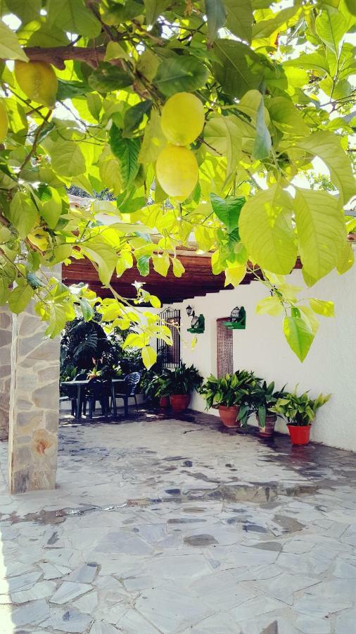 Cortijo Lalo Villa ออร์กิวา ภายนอก รูปภาพ